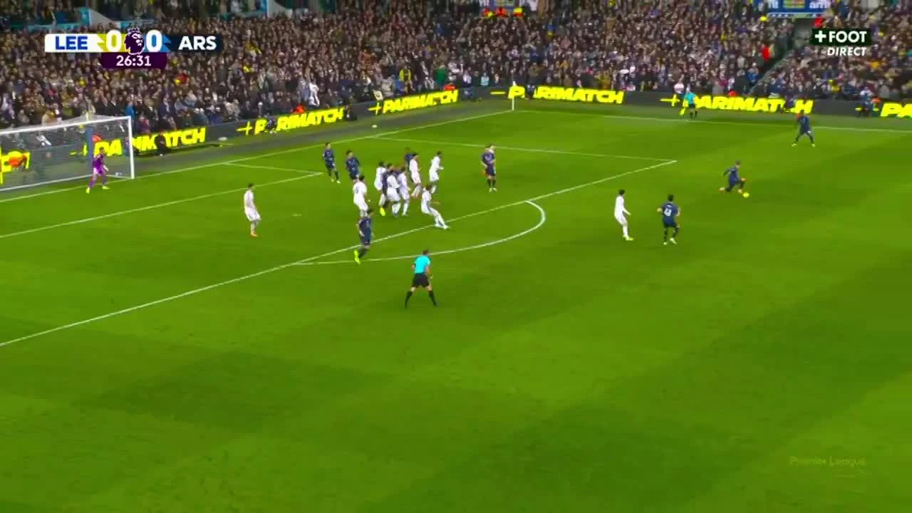 zaslepka skrotu video