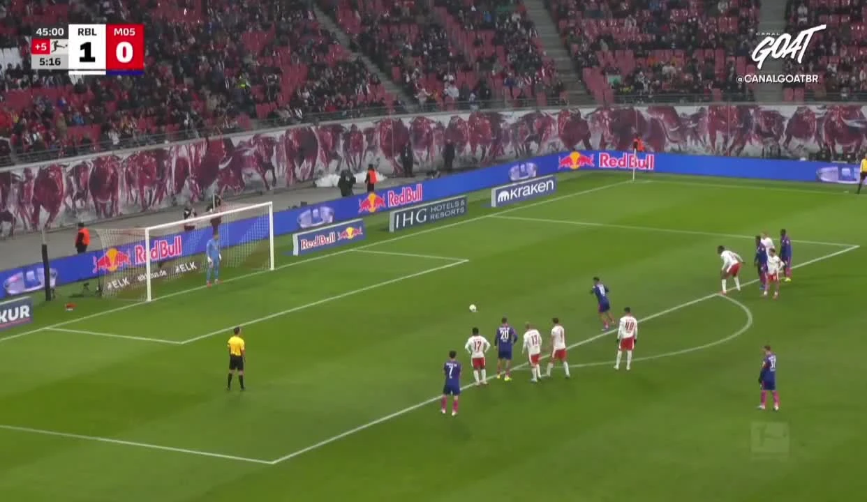 zaslepka skrotu video