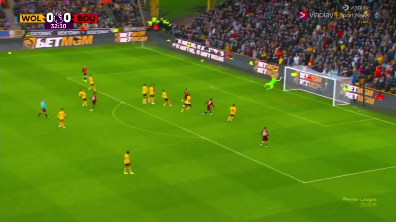 zaslepka skrotu video