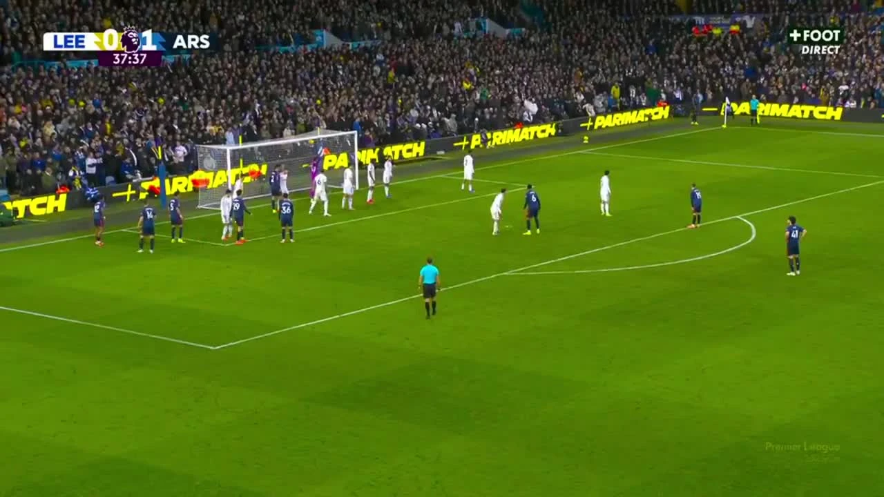 zaslepka skrotu video