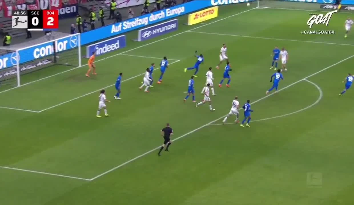 zaslepka skrotu video