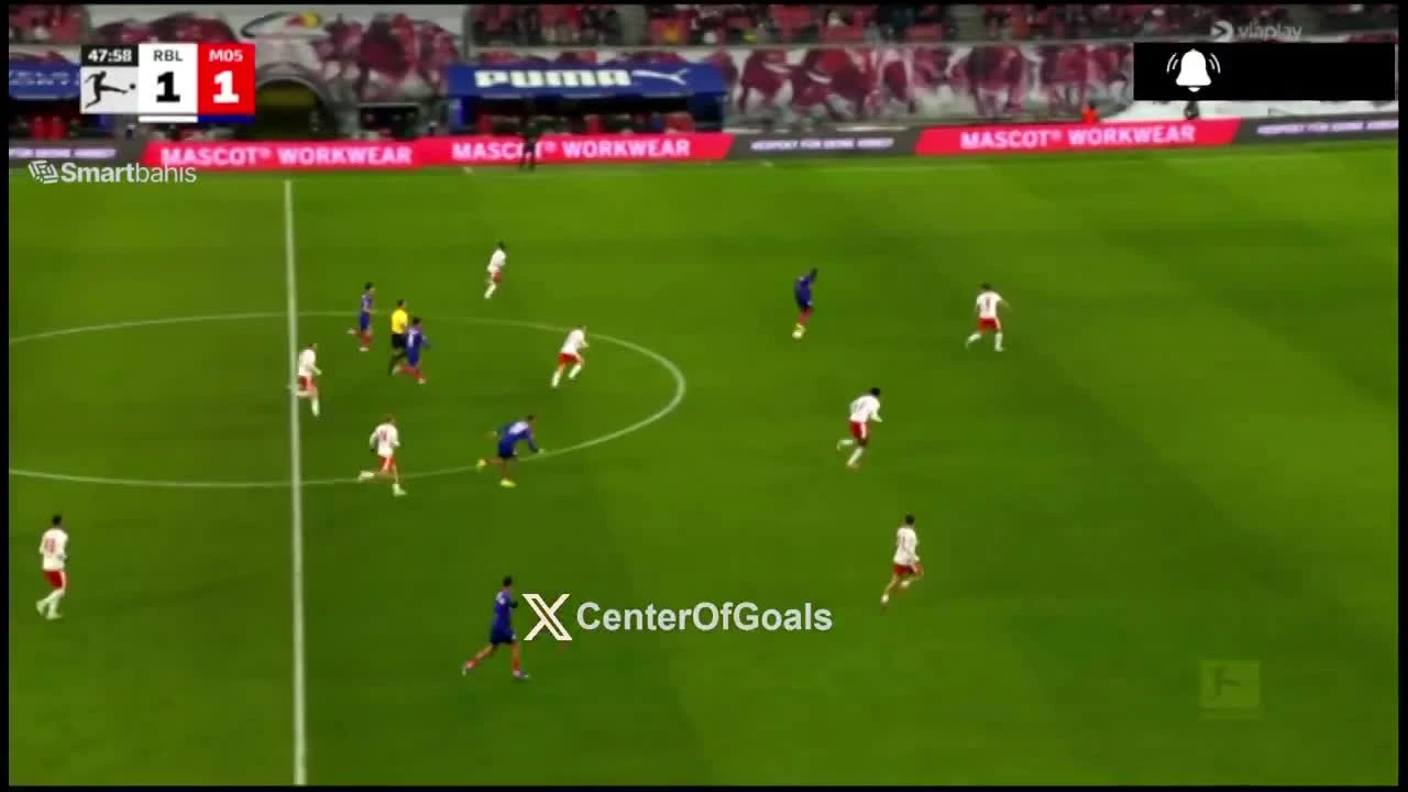 zaslepka skrotu video