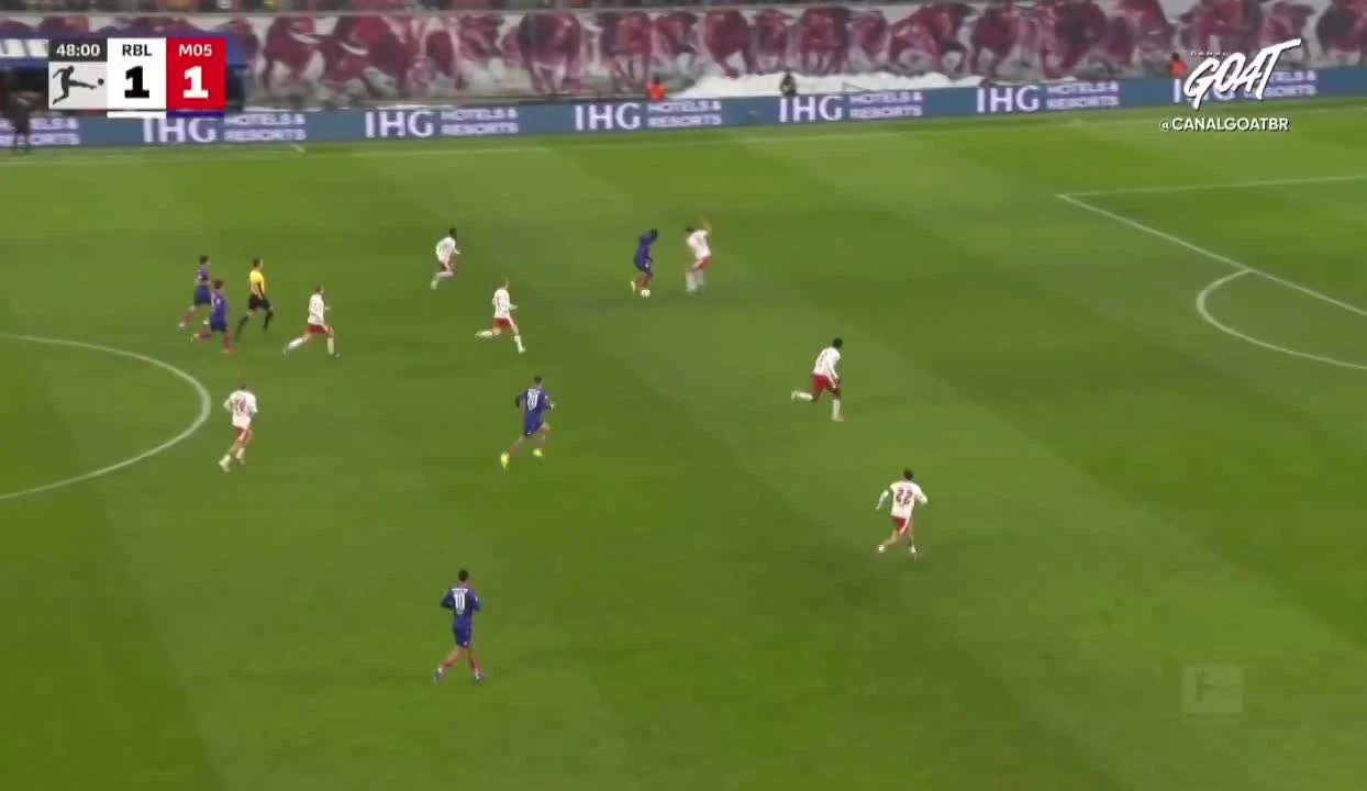 zaslepka skrotu video