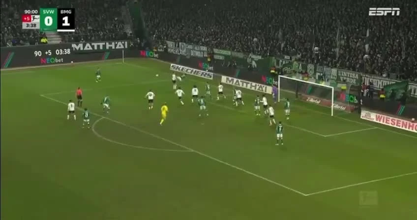 zaslepka skrotu video