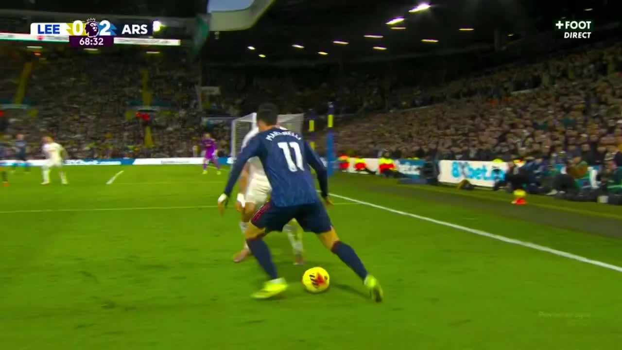 zaslepka skrotu video