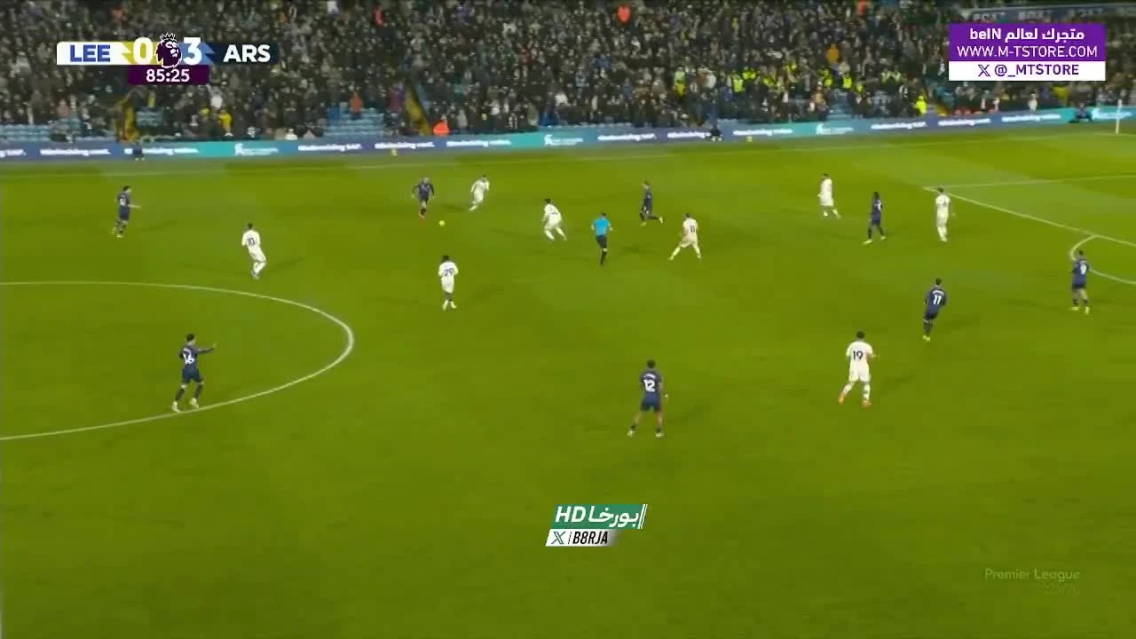 zaslepka skrotu video