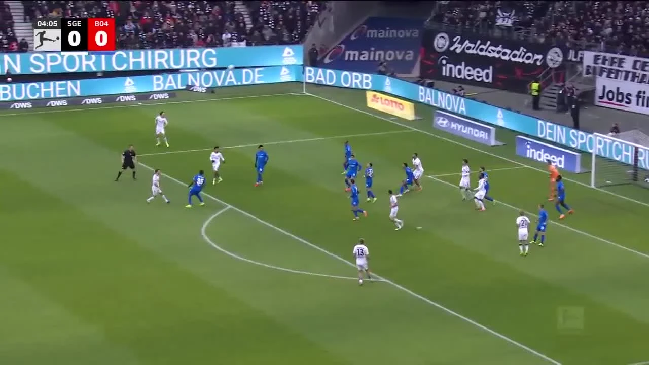 zaslepka skrotu video