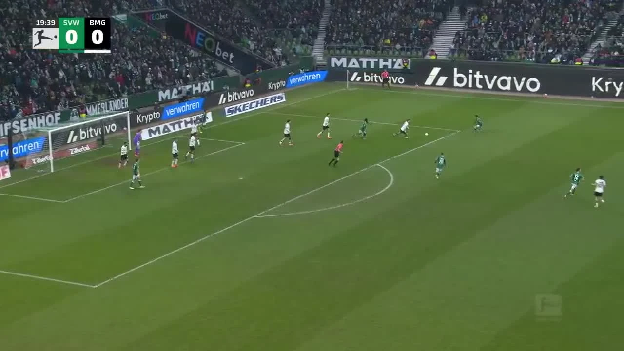 zaslepka skrotu video