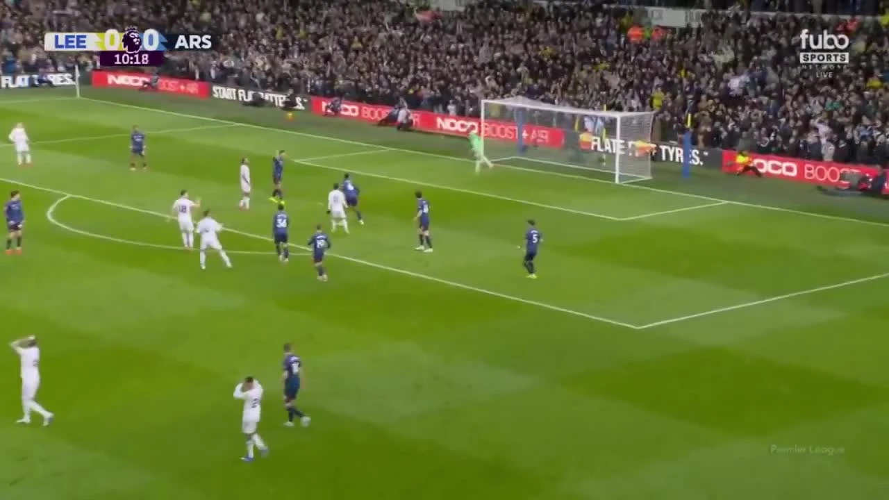 zaslepka skrotu video