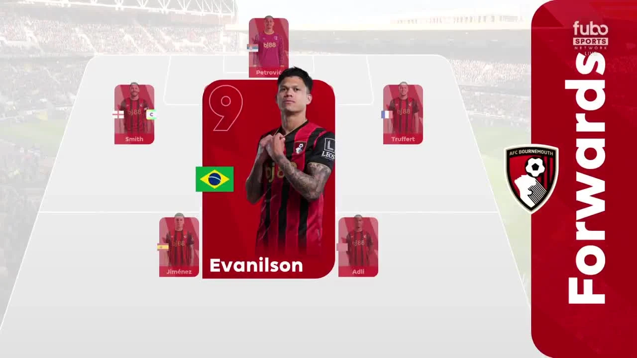 zaslepka skrotu video