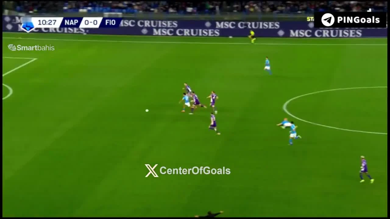 zaslepka skrotu video