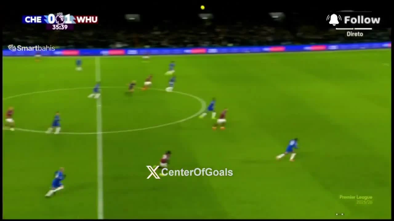 zaslepka skrotu video