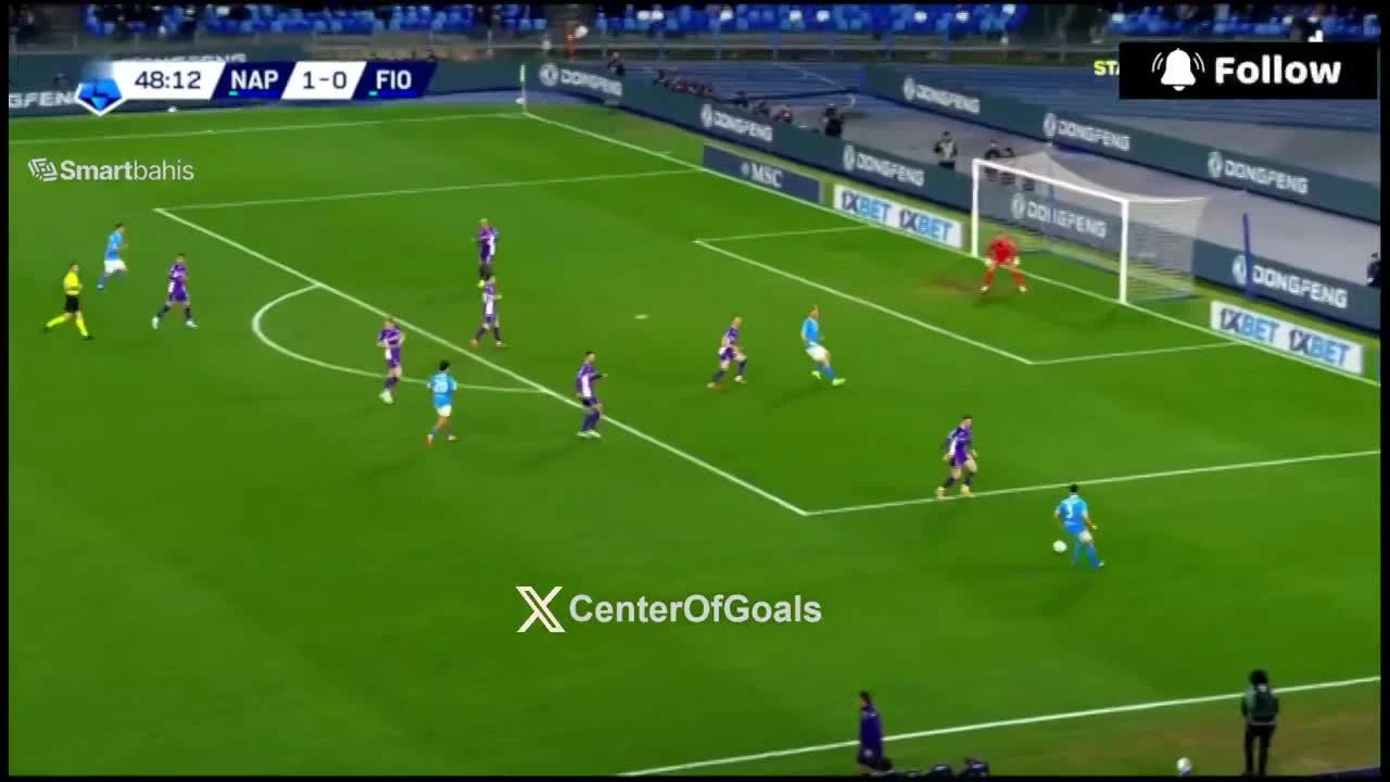 zaslepka skrotu video