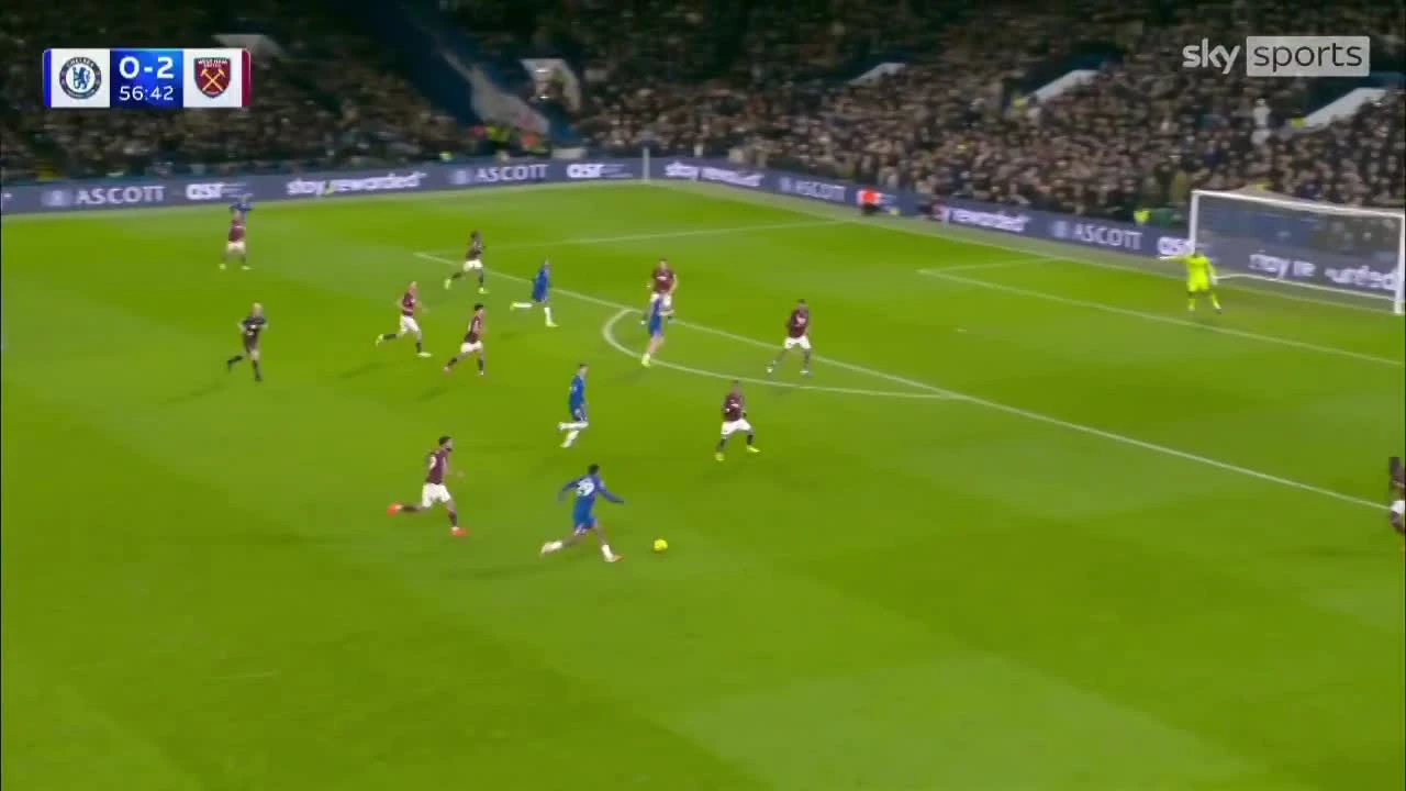 zaslepka skrotu video