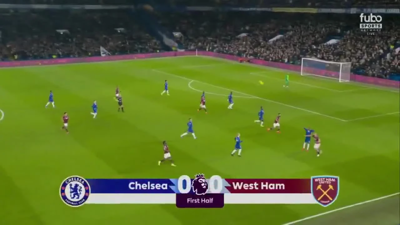 zaslepka skrotu video