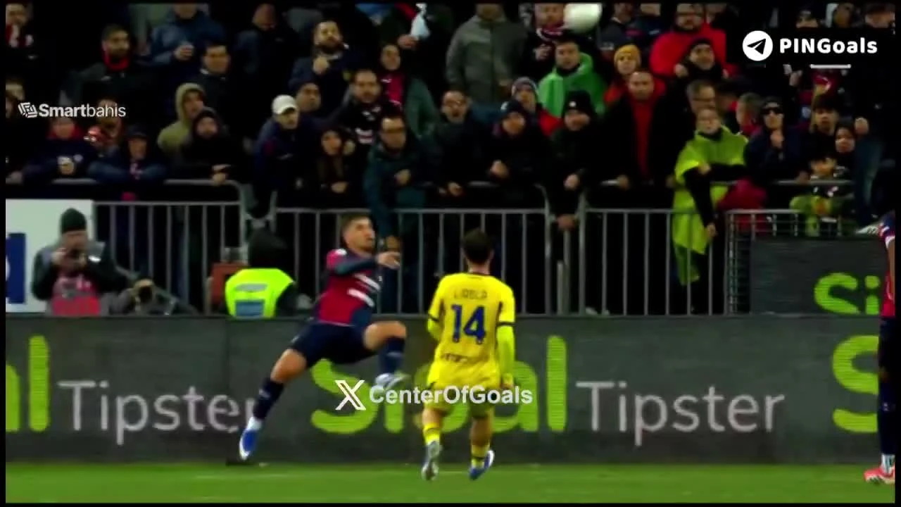 zaslepka skrotu video