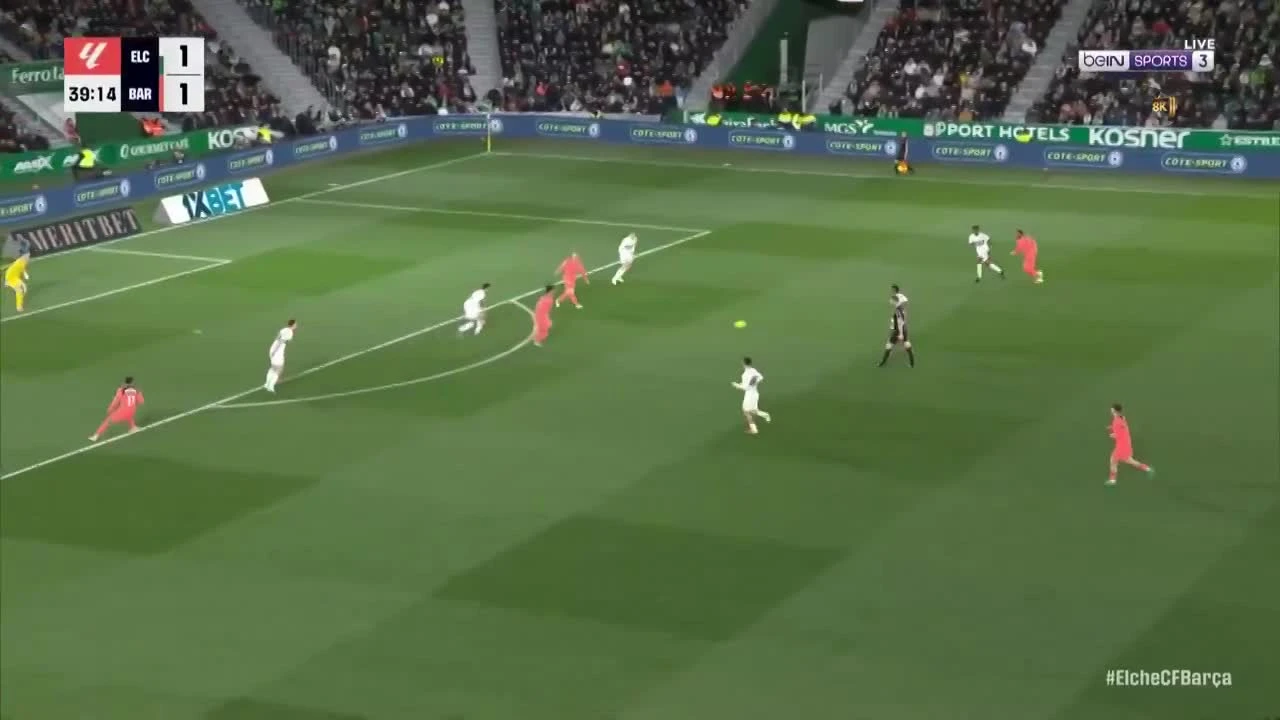 zaslepka skrotu video