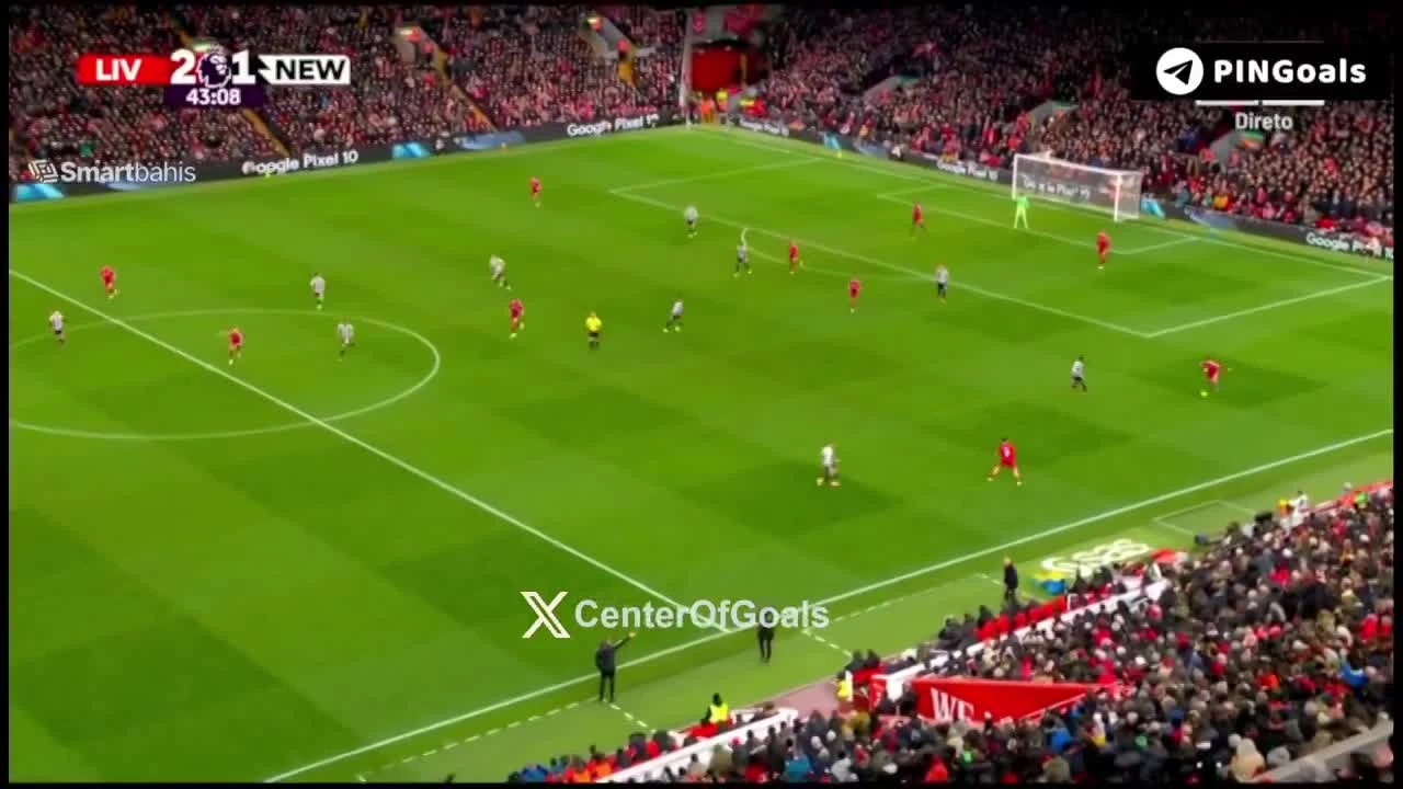 zaslepka skrotu video