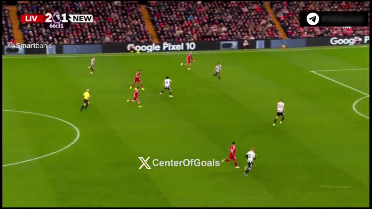 zaslepka skrotu video