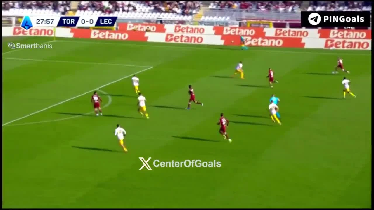 zaslepka skrotu video