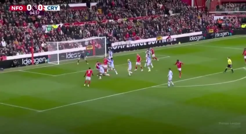 zaslepka skrotu video