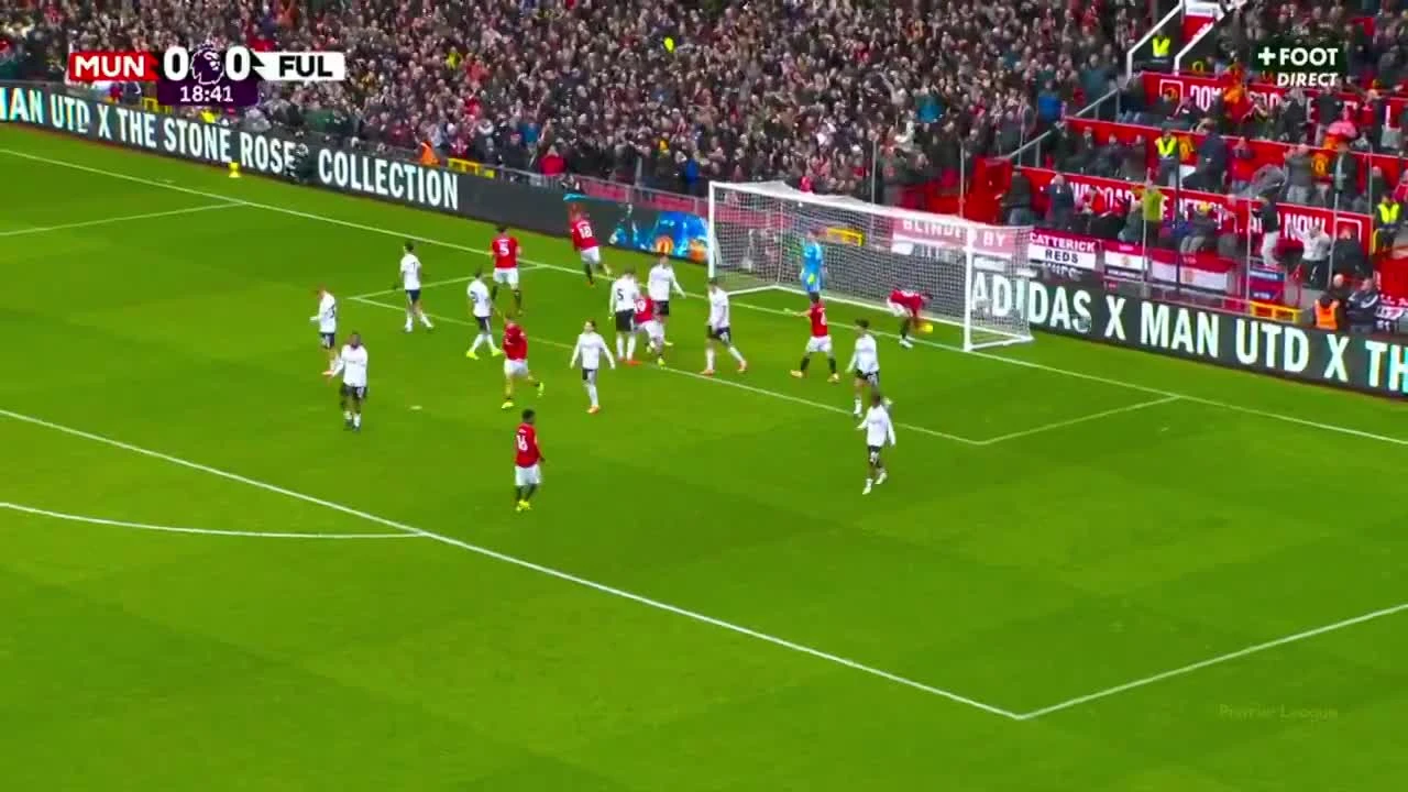 zaslepka skrotu video