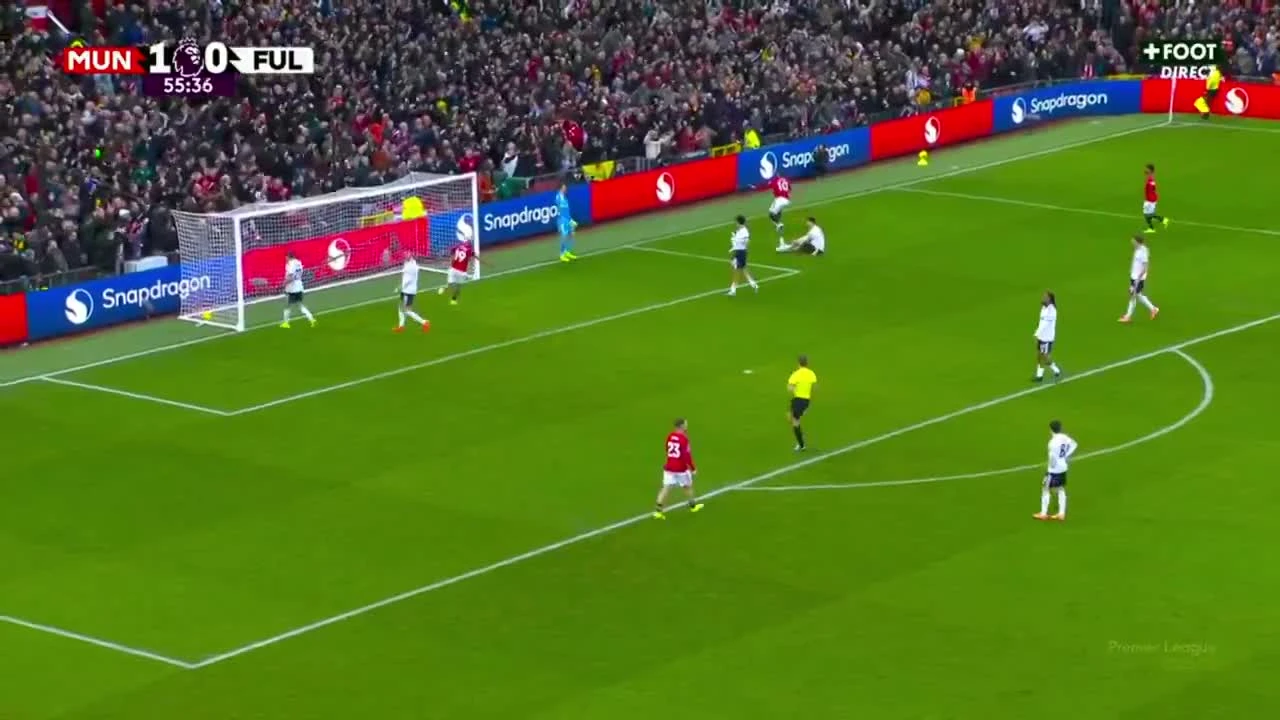 zaslepka skrotu video