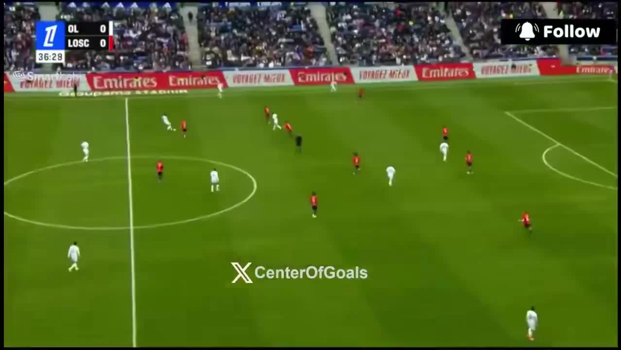 zaslepka skrotu video