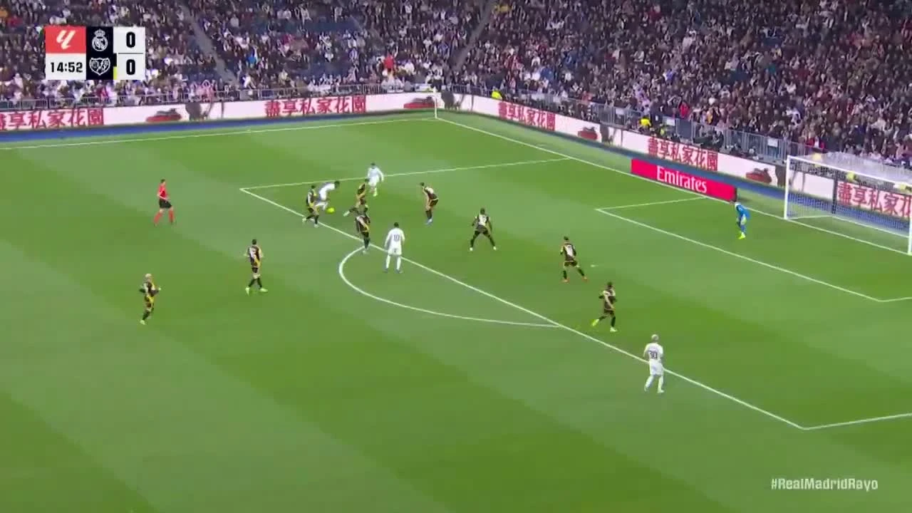 zaslepka skrotu video