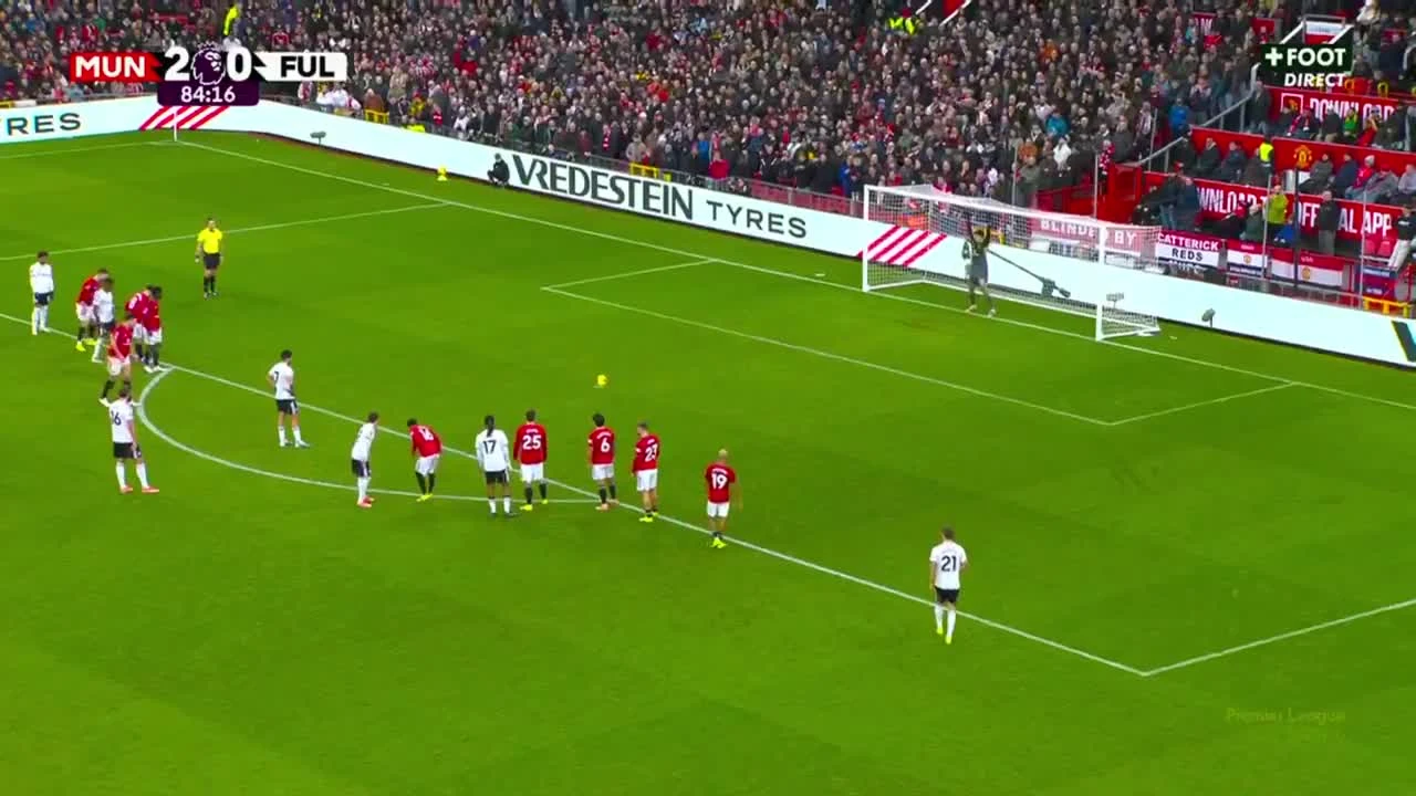 zaslepka skrotu video