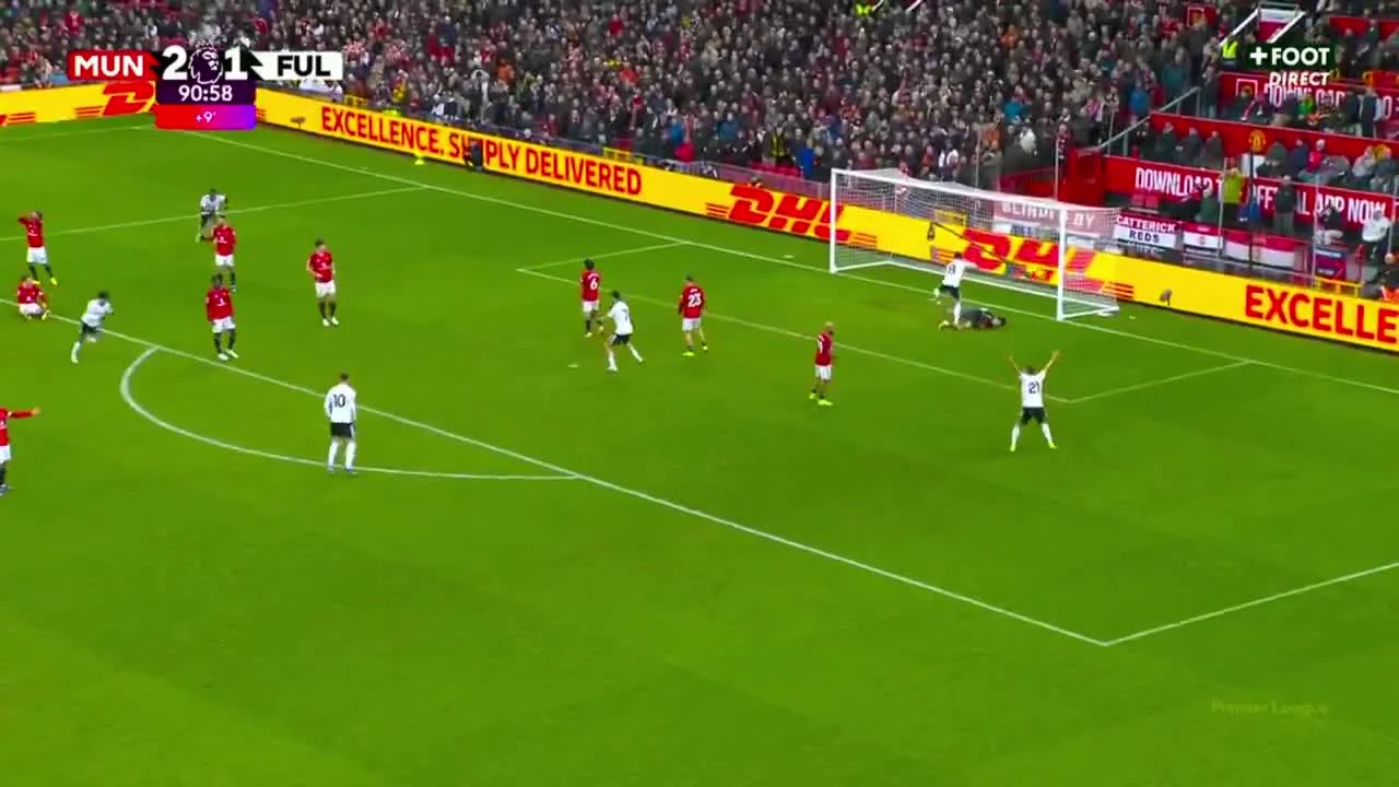 zaslepka skrotu video