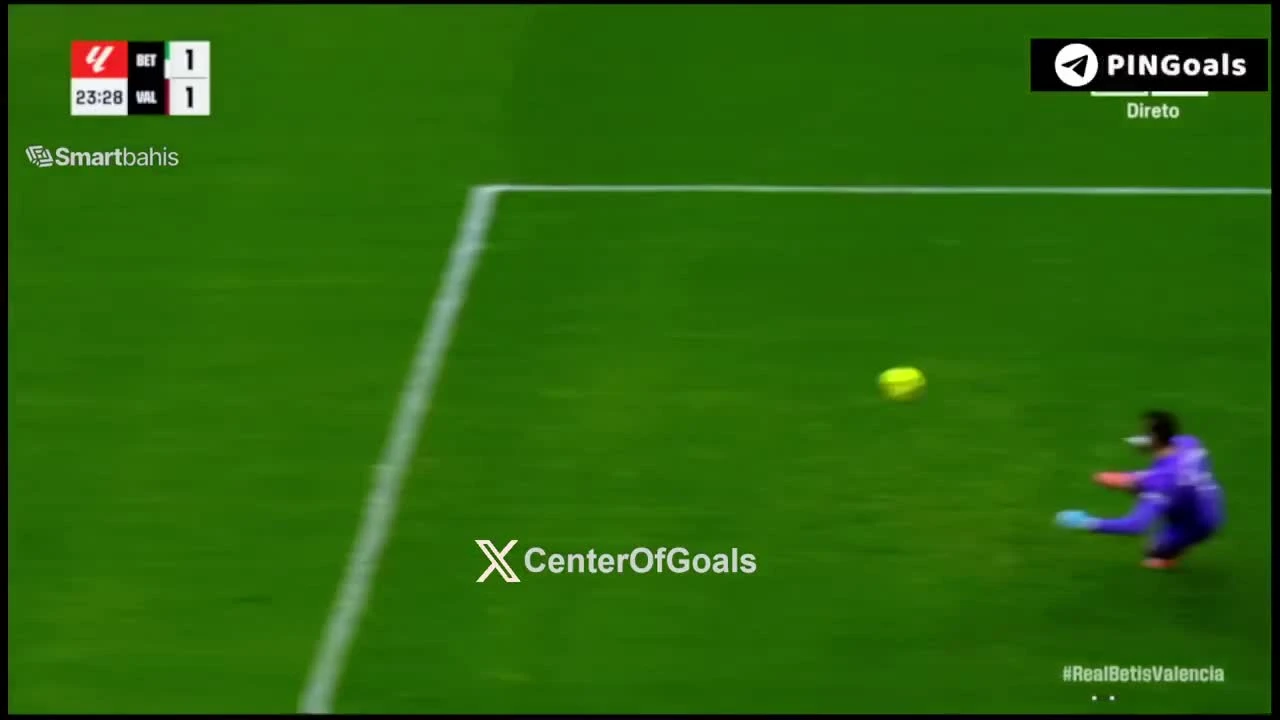 zaslepka skrotu video