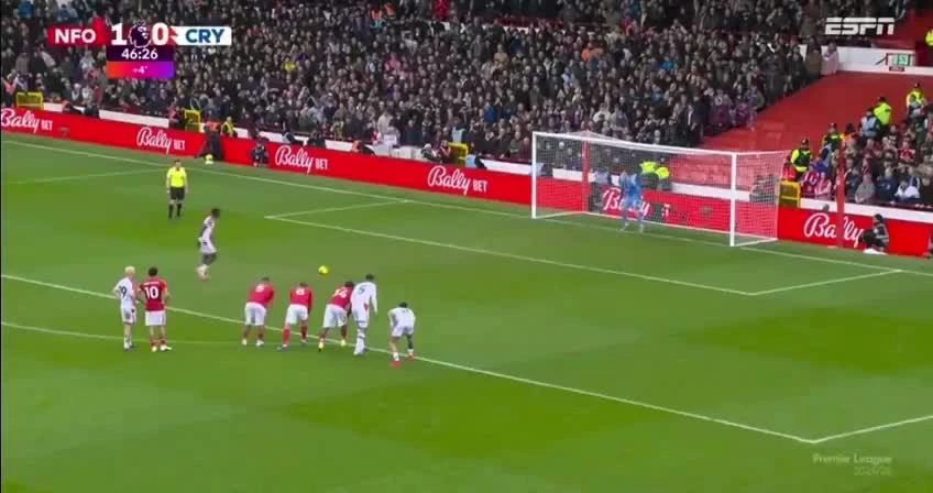 zaslepka skrotu video