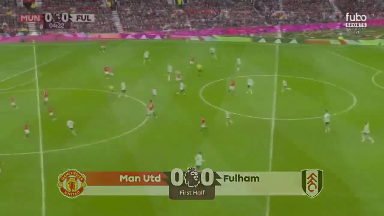 zaslepka skrotu video