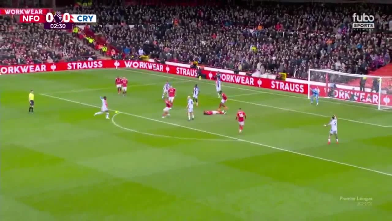 zaslepka skrotu video