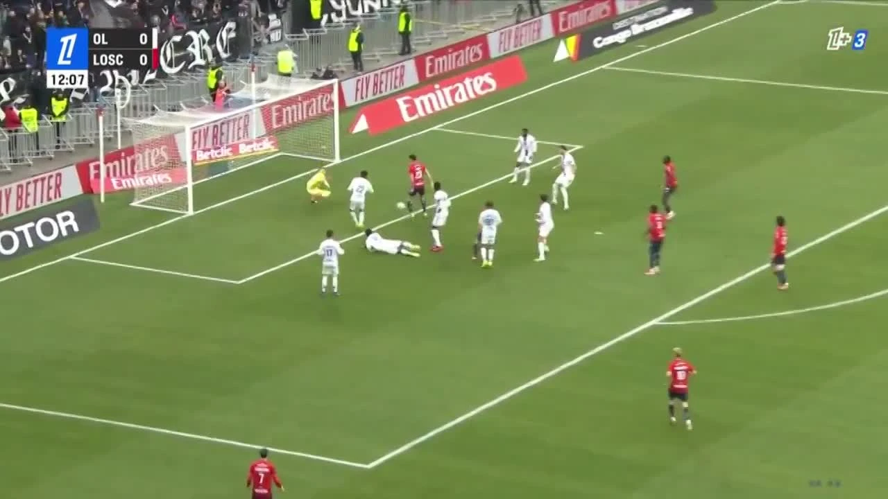 zaslepka skrotu video