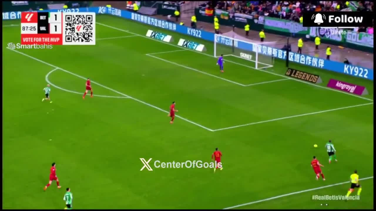 zaslepka skrotu video