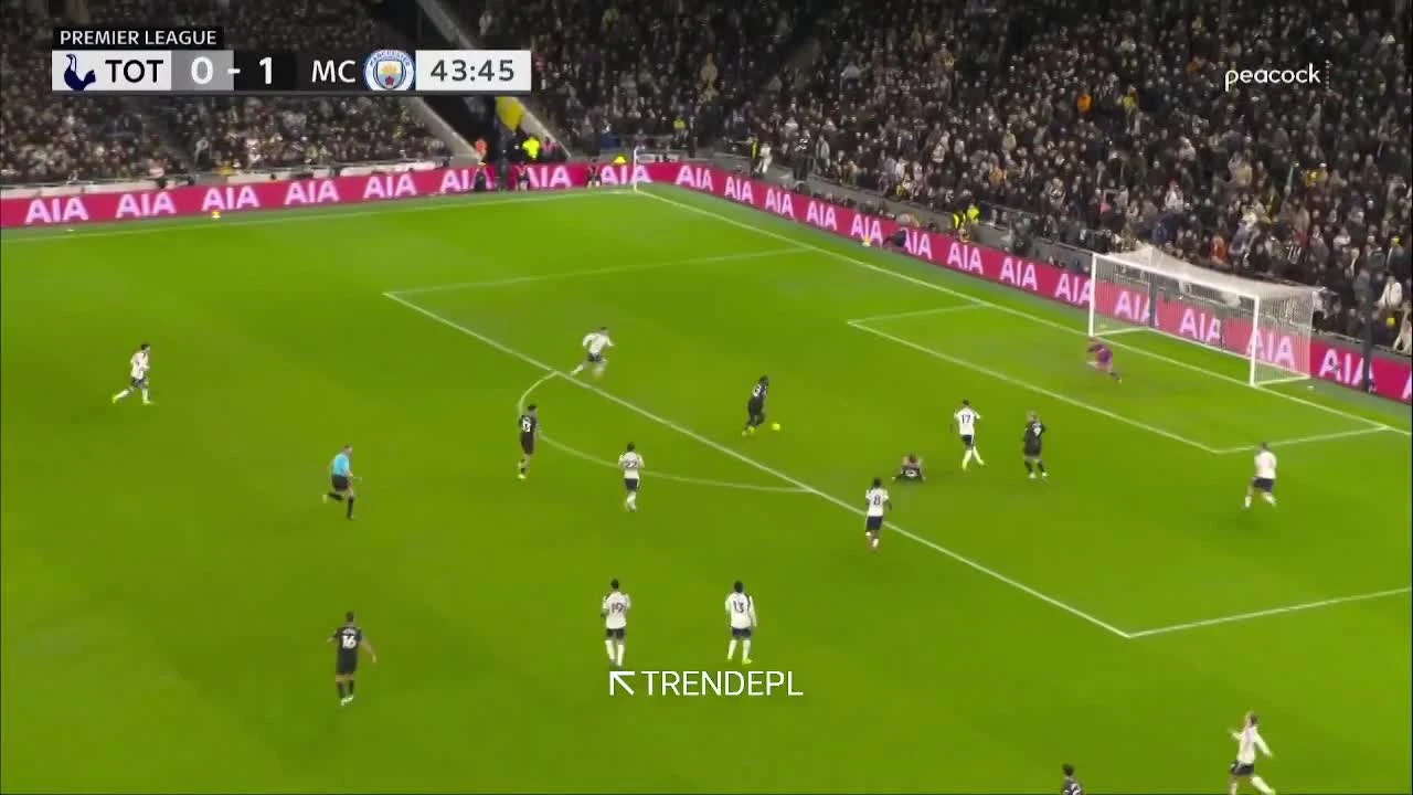 zaslepka skrotu video