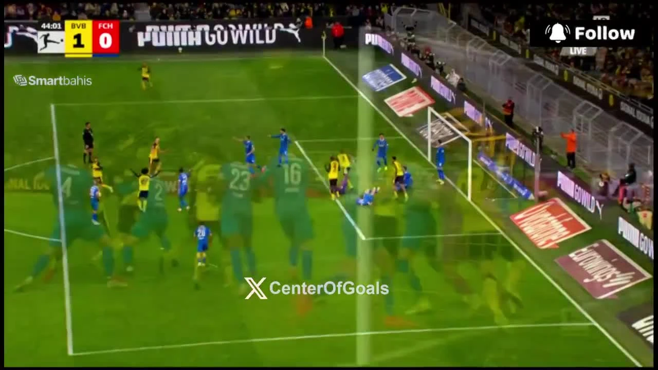 zaslepka skrotu video