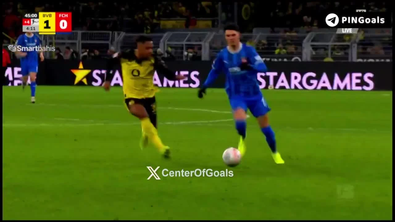 zaslepka skrotu video