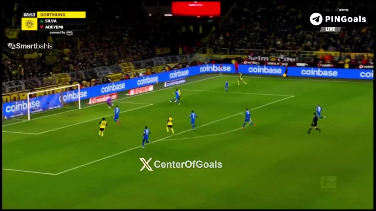 zaslepka skrotu video