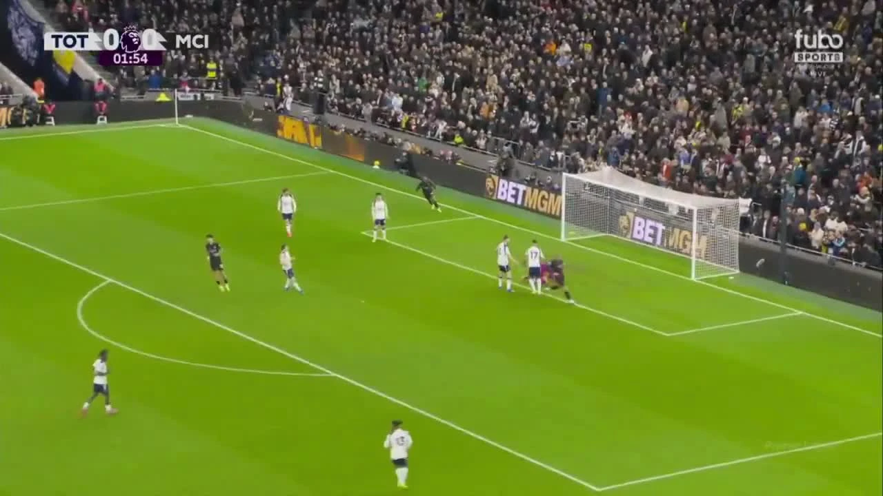 zaslepka skrotu video