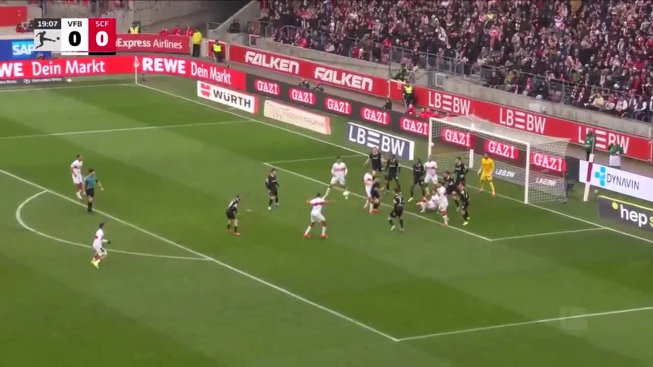 zaslepka skrotu video