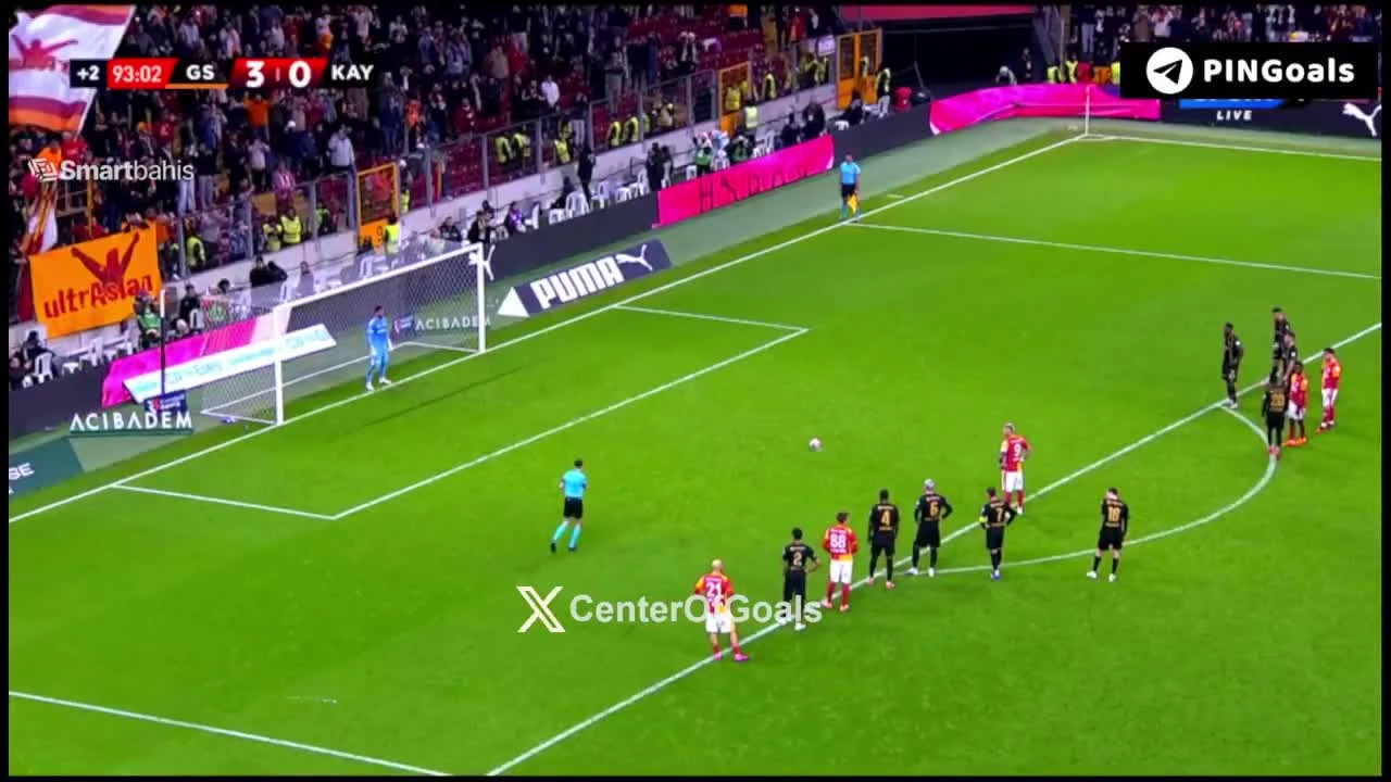 zaslepka skrotu video