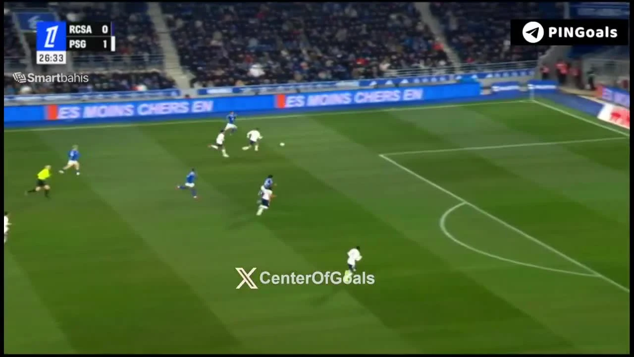 zaslepka skrotu video