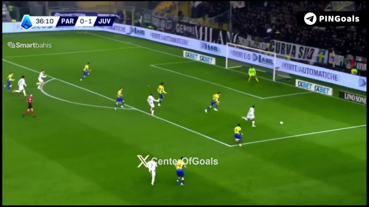 zaslepka skrotu video