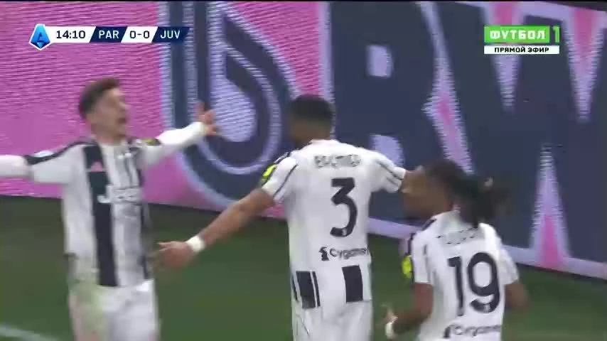 zaslepka skrotu video