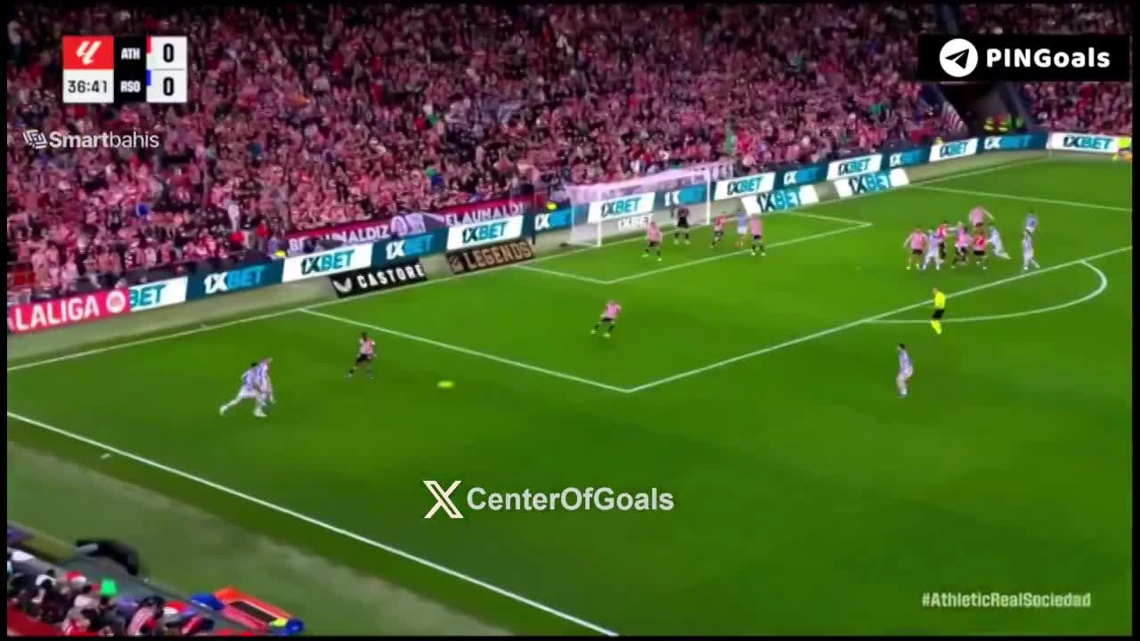 zaslepka skrotu video