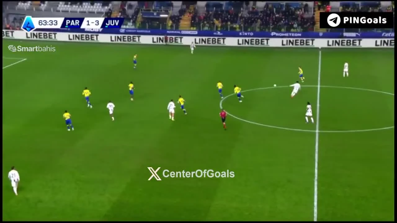 zaslepka skrotu video