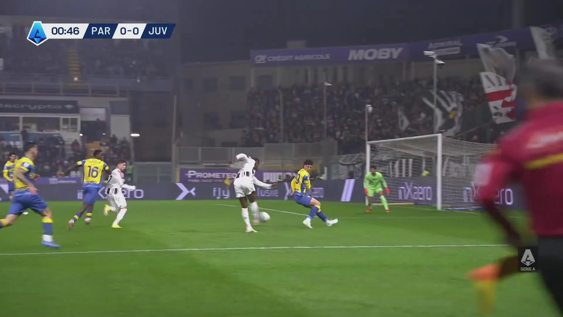 zaslepka skrotu video